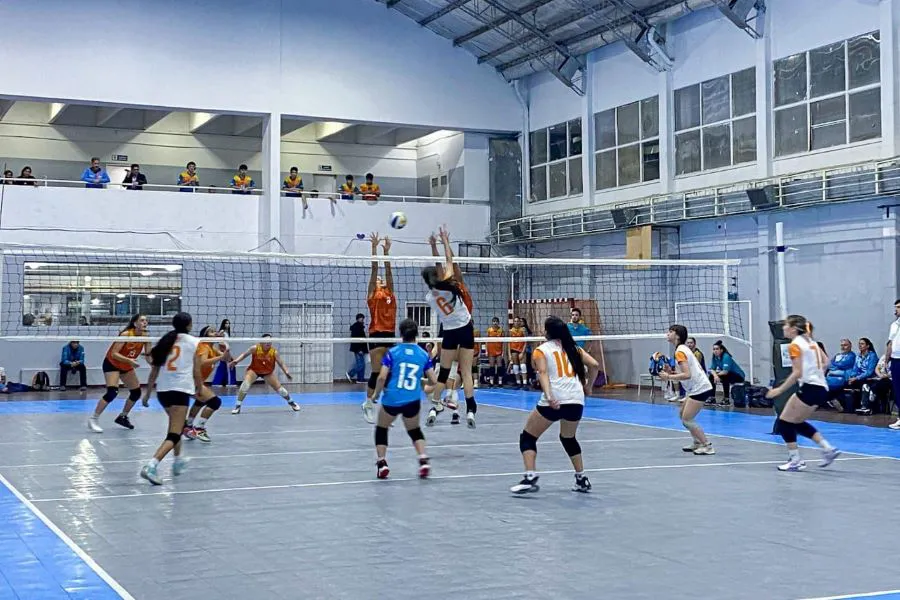 photo_4920594635341016681_y