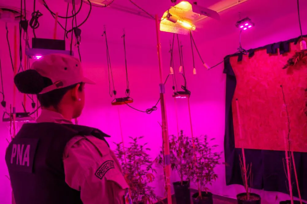 Imagen de WhatsApp 2025-09-08 a las 09.56.18_cd13d9bf