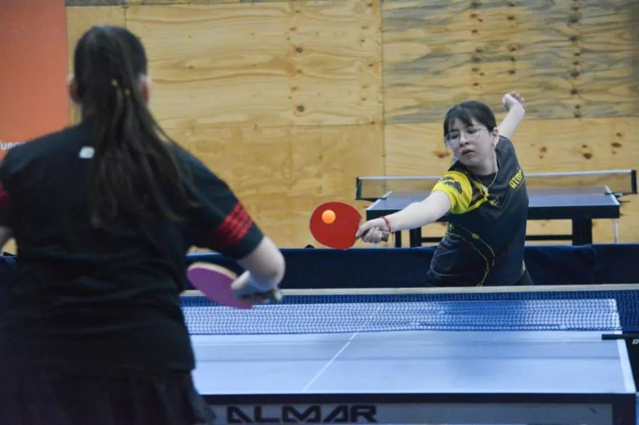 photo_4954185759246626696_y