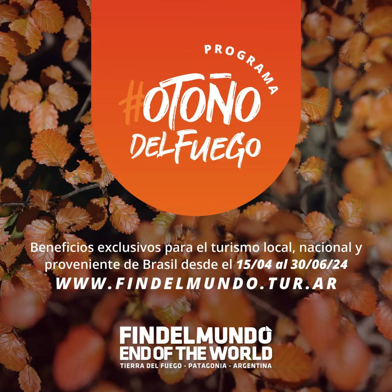 Invitan a alojamientos y agencias a sumarse al programa Otoño del Fuego (3)