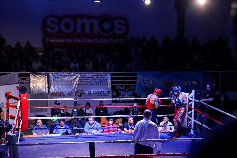 photo_5141408670784007445_y