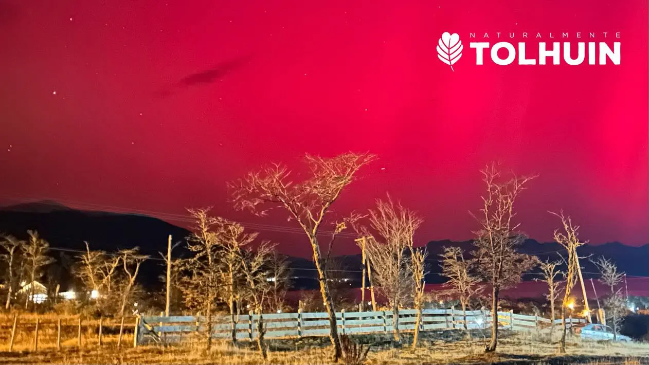 Gran espectáculo de colores en el cielo de Ushuaia y Tolhuin con la “Aurora Austral” (3)