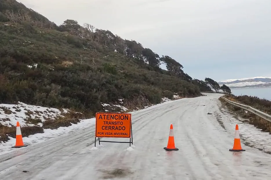 photo_5152321014452039346_y