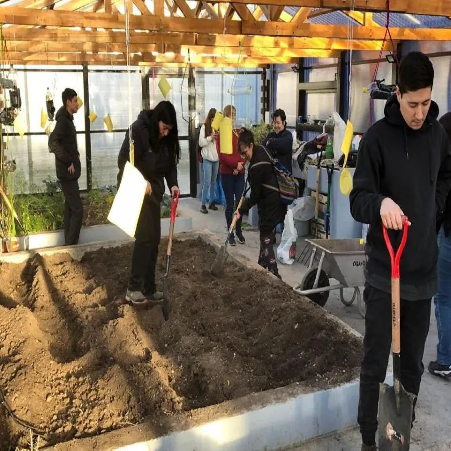 photo_5044097583873633473_y