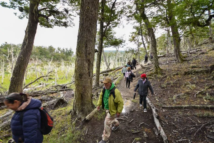 photo_4952252830689898564_y