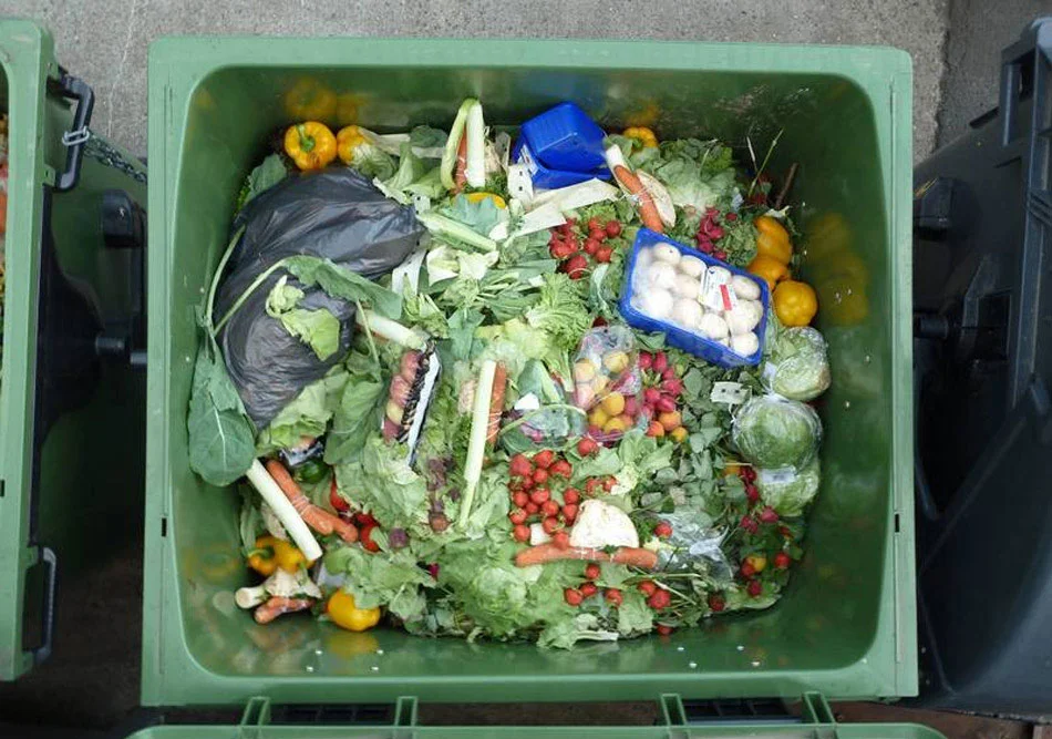 programa para reducir pérdidas y desperdicios de alimentos