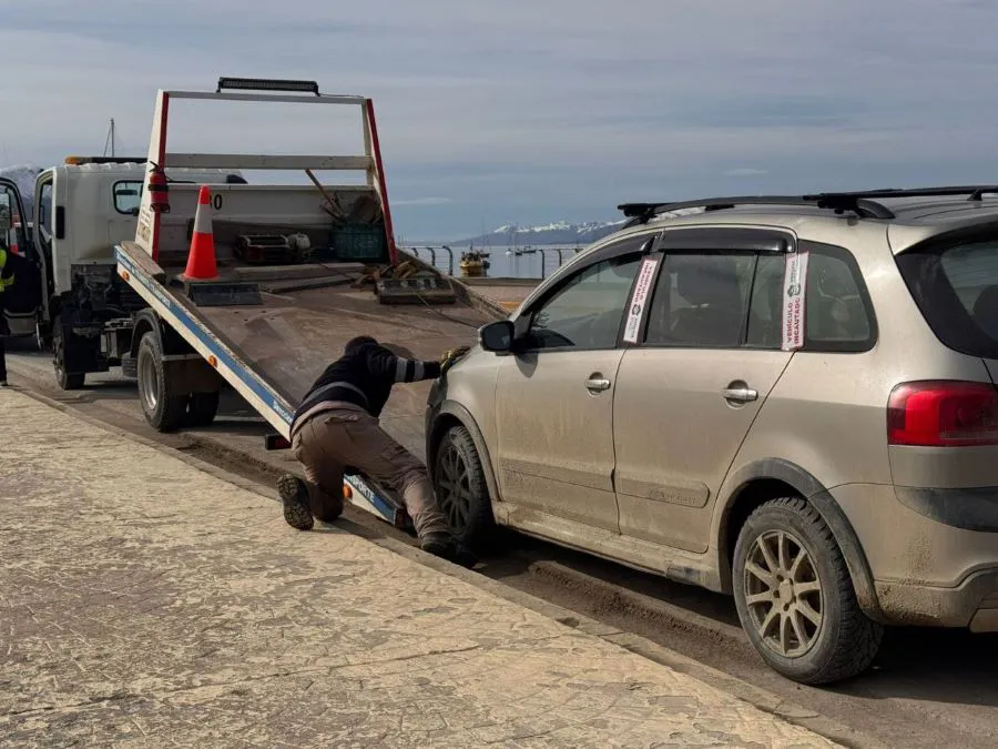 photo_5093856025542069052_y