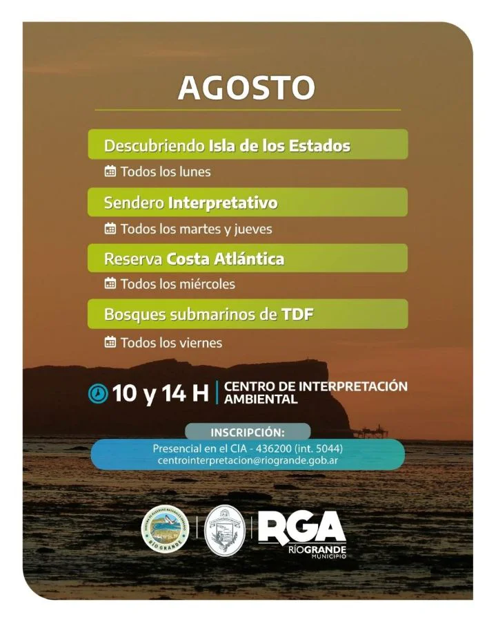 Cronograma de Actividades