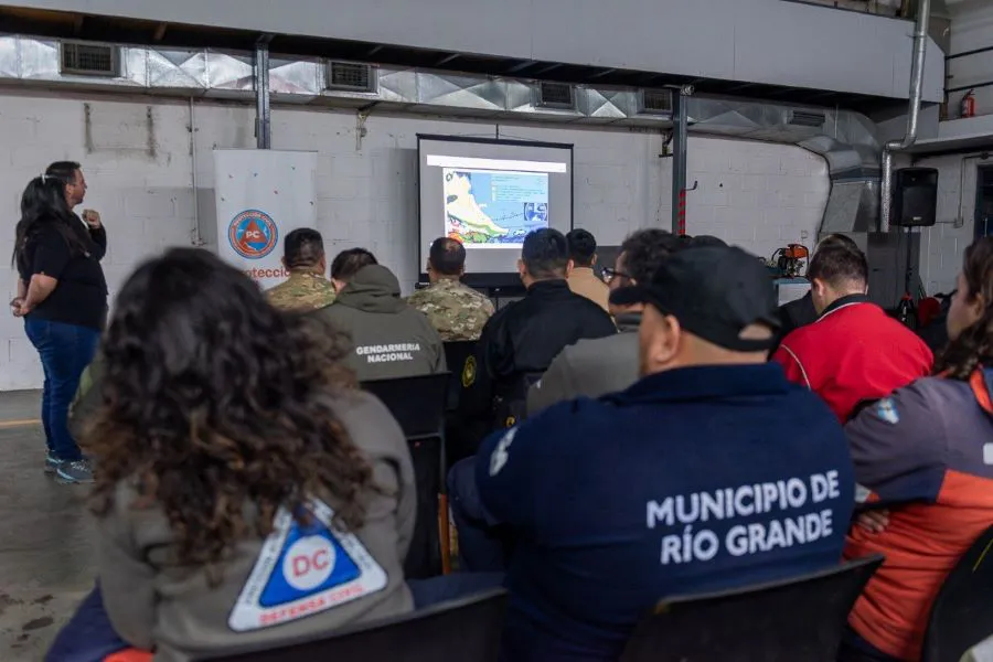 photo_5026313898122392063_y