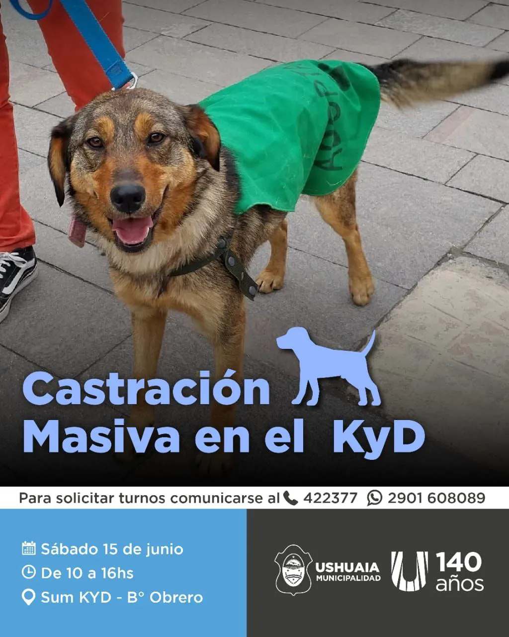 El próximo fin de semana se realizará una jornada de castración masiva en KyD (2)