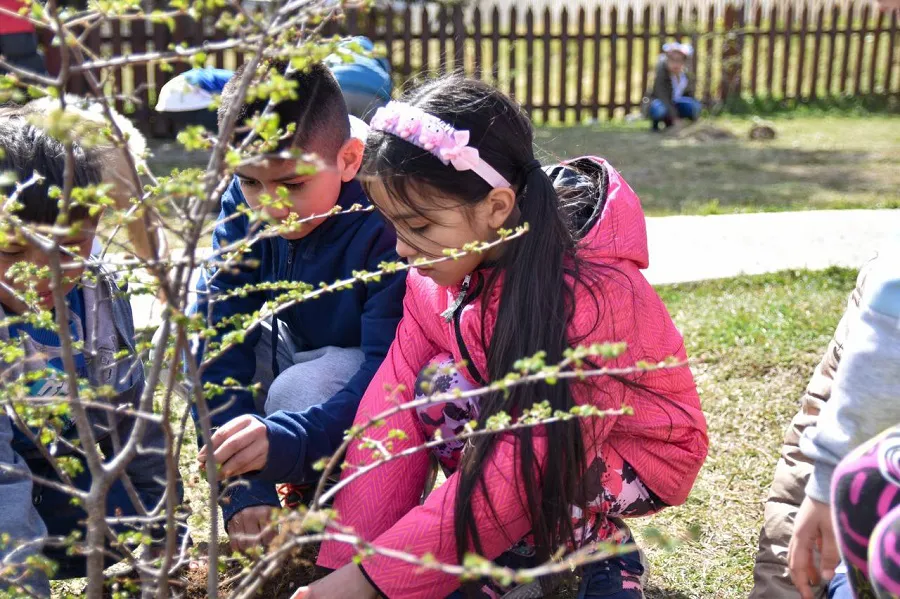 Jornada de forestación en el Día Internacional contra el Cambio Climático en Tolhuin  (3)