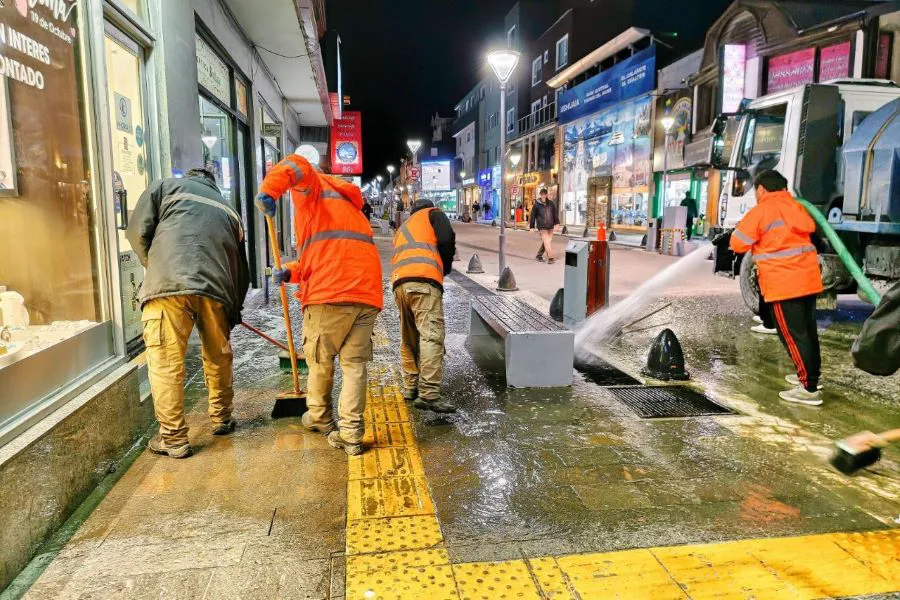 photo_4911540689665985323_y