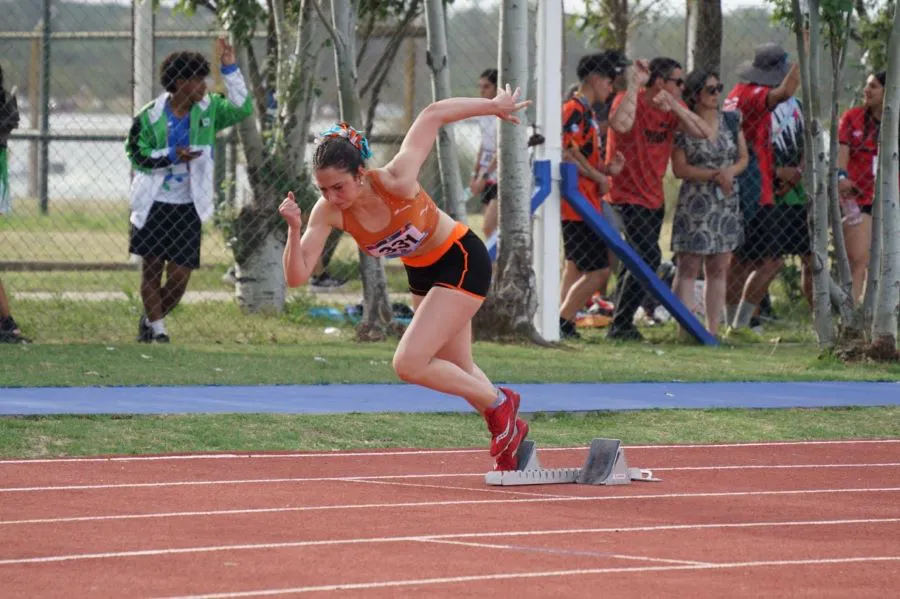 photo_5023877036761615225_y