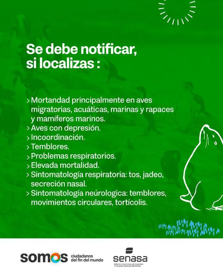 photo_5064333064590699841_y