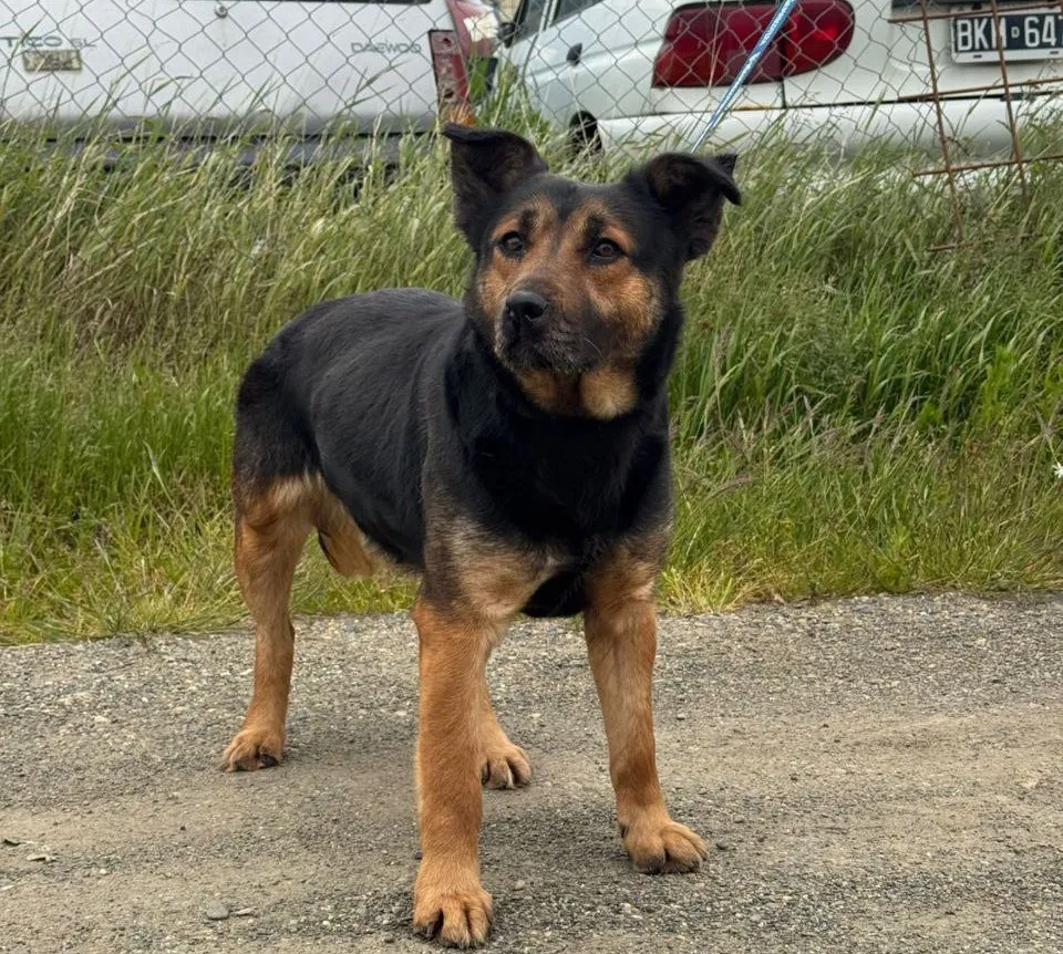 photo_5035532087649307481_y