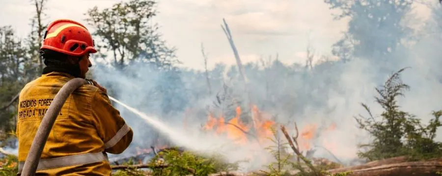 incendio-forestal