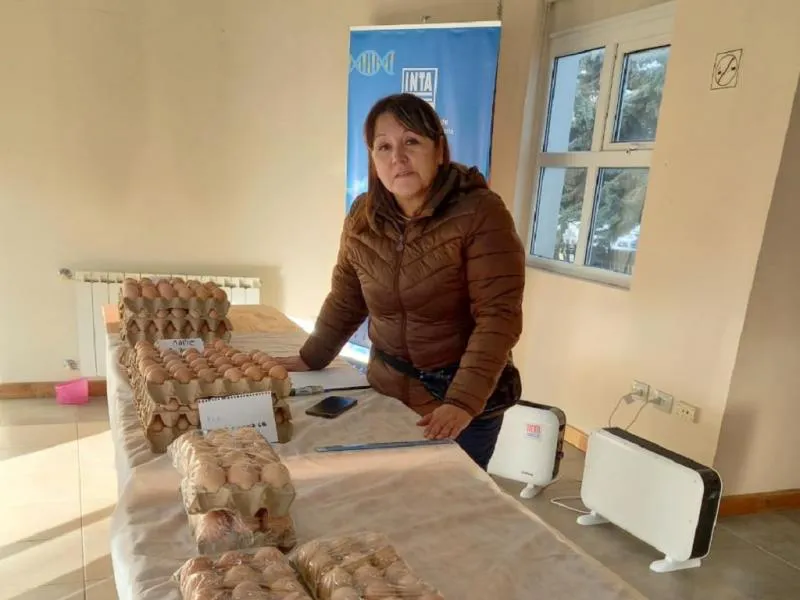 Se lanza en Río Grande la marca de huevos frescos “Las Morochas RG” (1)