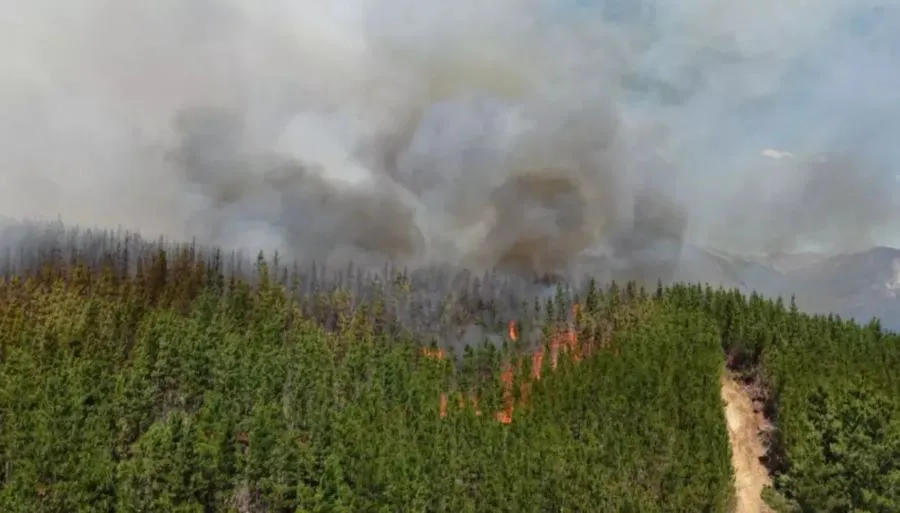 WhatsApp Image 2026-01-06 at 14.50.11