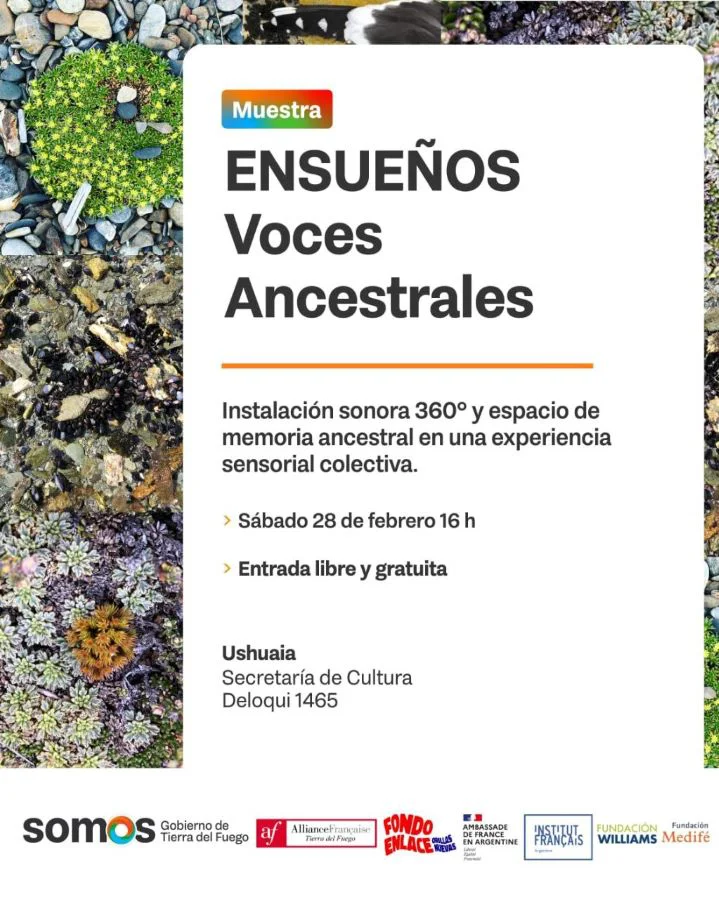 photo_4972174276286942134_y