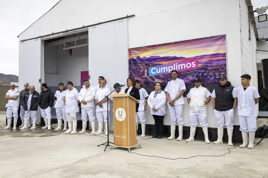 photo_5116461941655711394_y