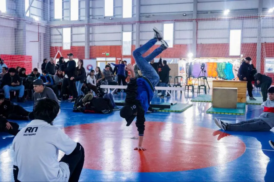 photo_4929503677413174588_y