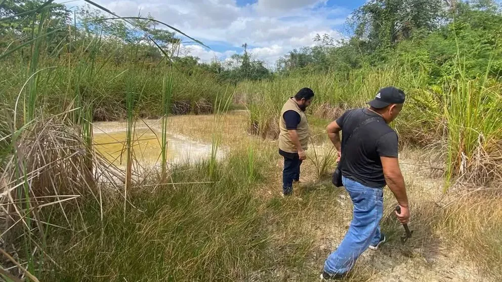 WhatsApp Image 2025-04-18 at 20.27.18