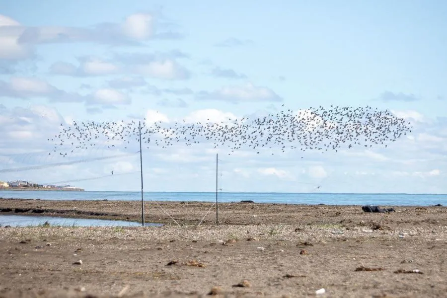 photo_4927166102811380750_y