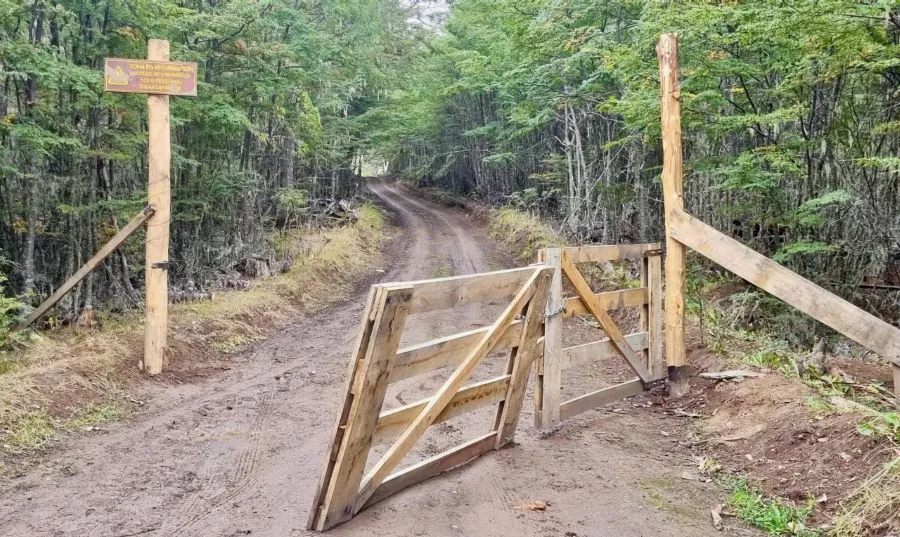 photo_5069059847898639689_y