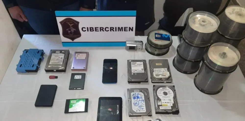 Tierra del Fuego participó en allanamientos simultáneos en 9 países por pornografía infantil (1)