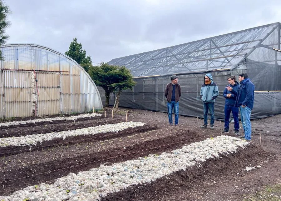 Se busca potenciar el trabajo de la Chacra Municipal Agroexperimental en Río Grande
