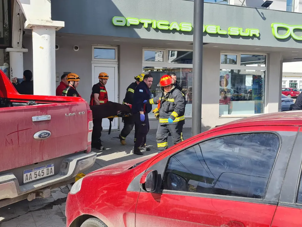 WhatsApp Image 2024-09-19 at 12.57.54