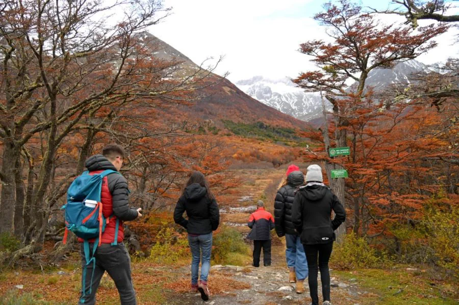 photo_5026117502156606484_y