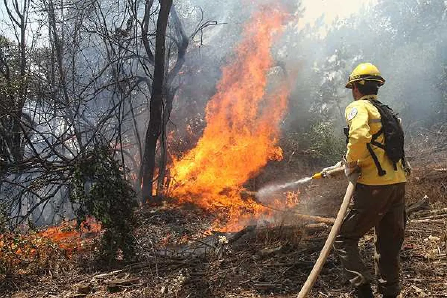 Se realizaron intensos trabajos para controlar el incendio forestal en Bella Vista