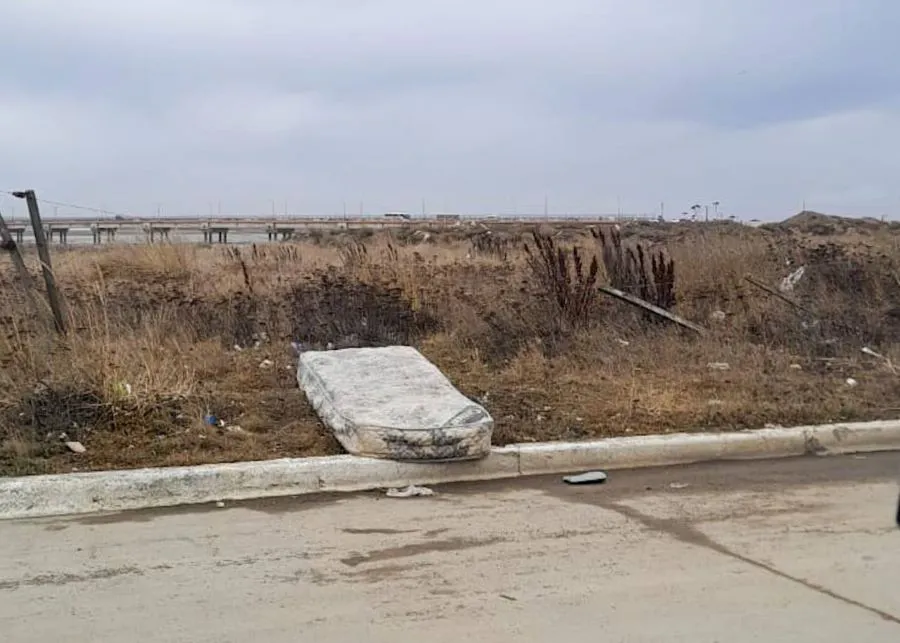 photo_4985808864712699799_y