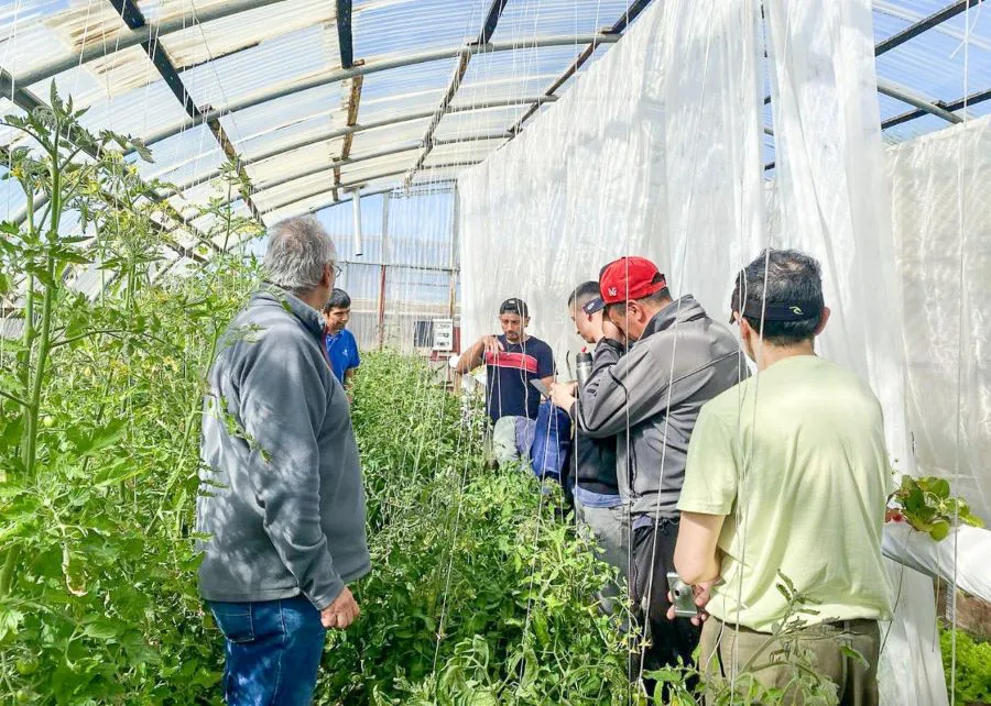 photo_5039990740440165954_y