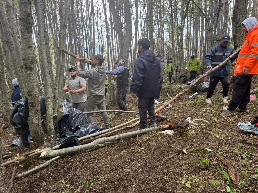 photo_5161454636072897470_y