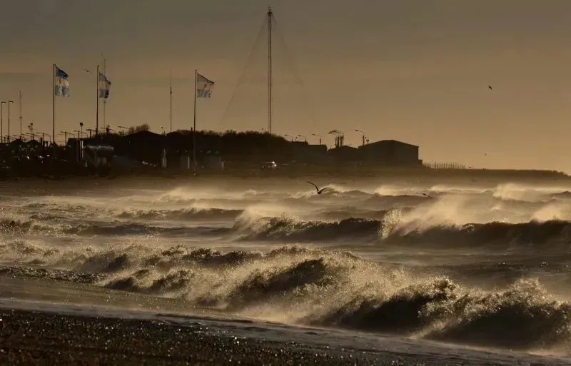 WhatsApp Image 2025-01-12 at 19.33.51