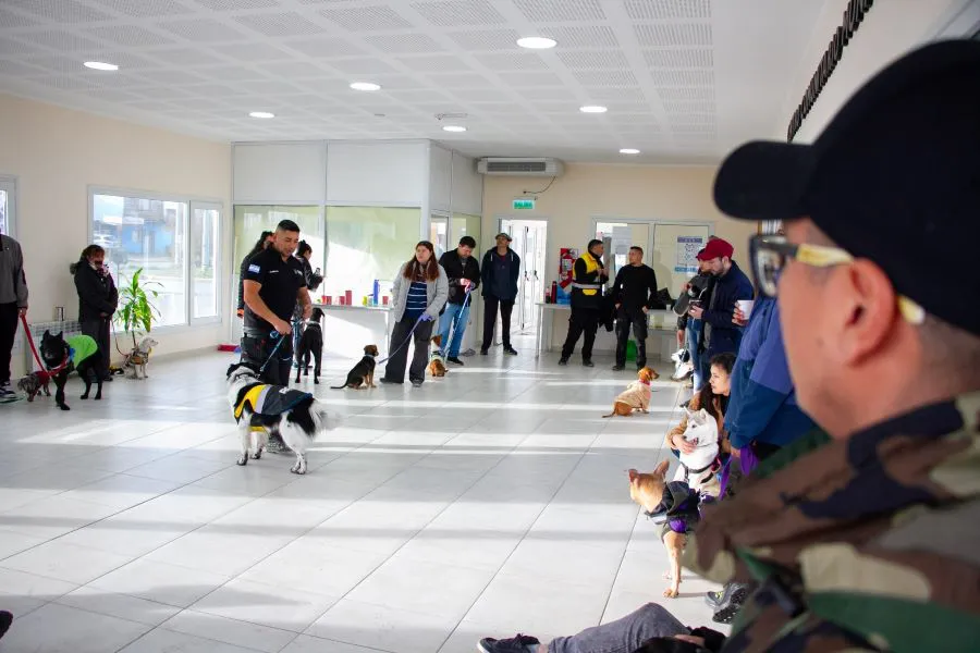 photo_5042304027005661298_w