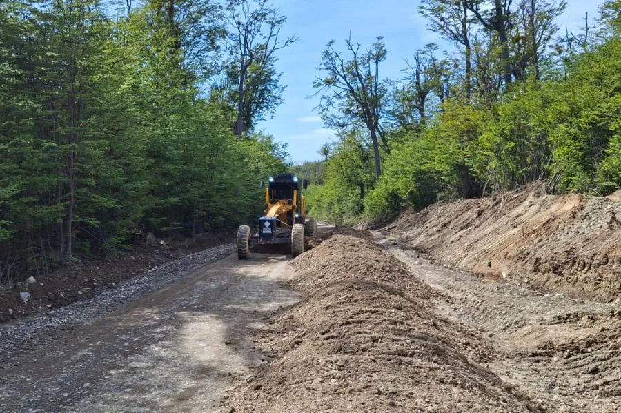 photo_4904855633199303486_y