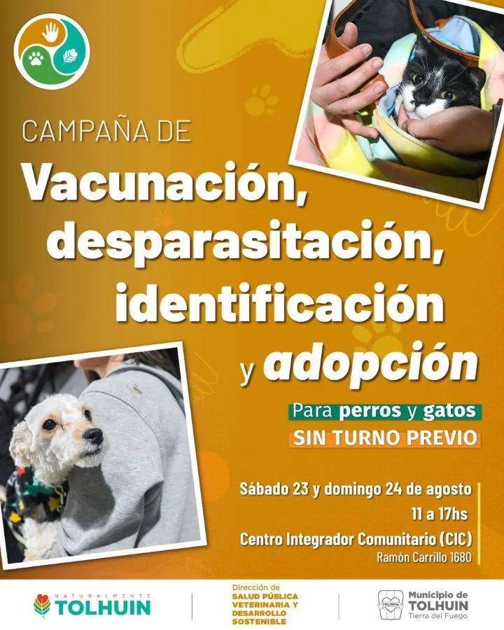 photo_4990352209967427415_y