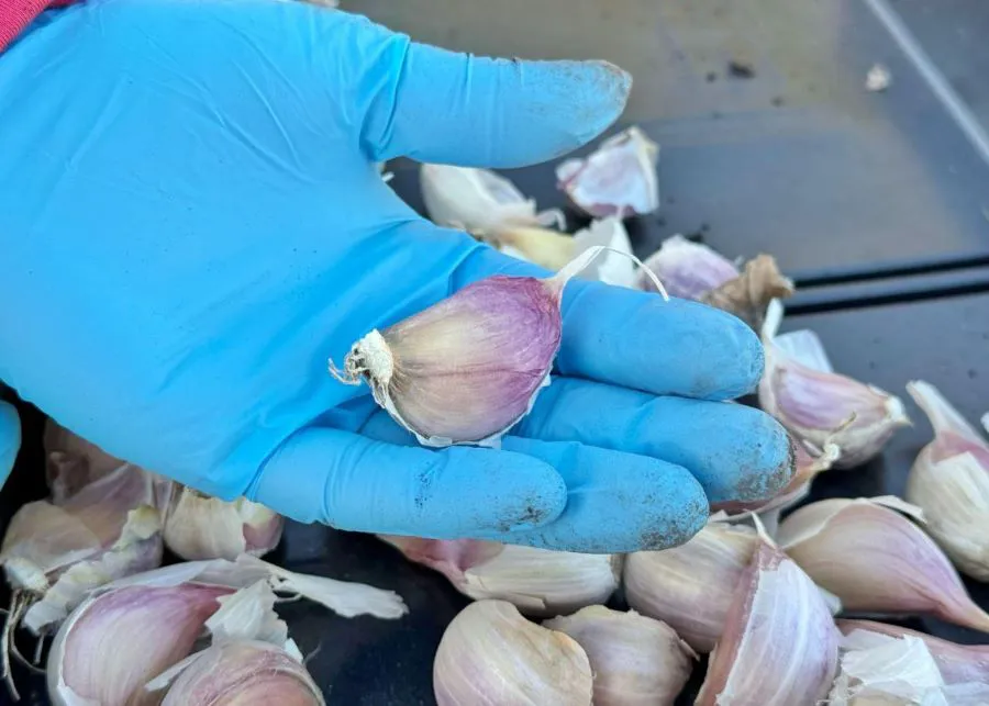 photo_5163605392482223651_y