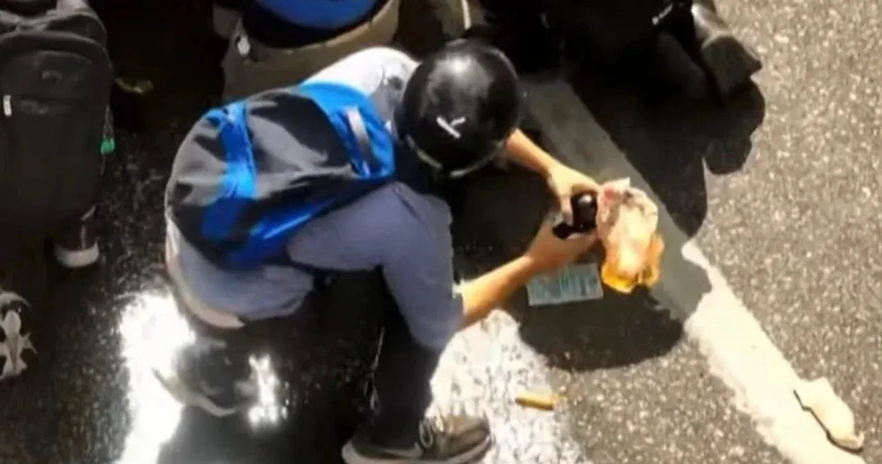 WhatsApp Image 2026-02-11 at 18.02.33