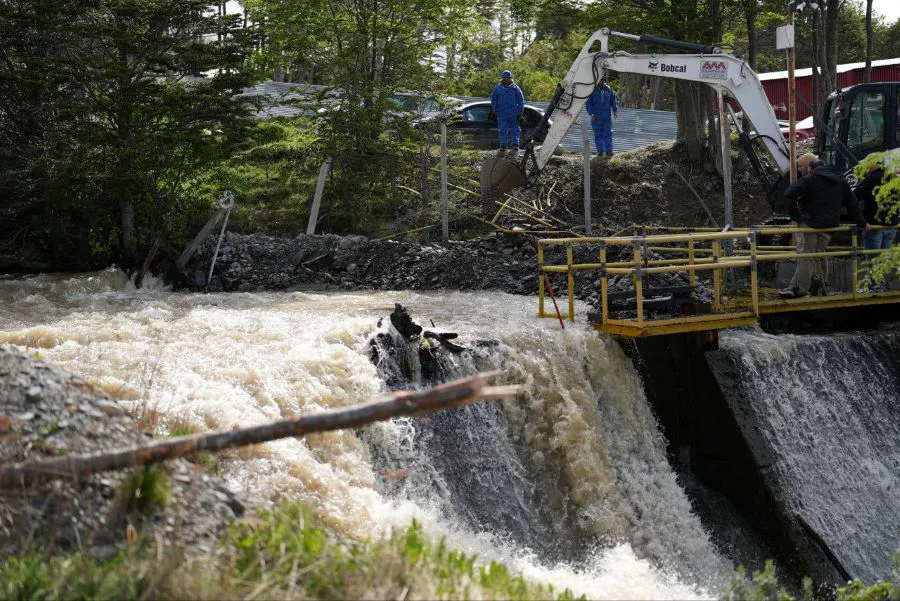 photo_4940668947414059900_y