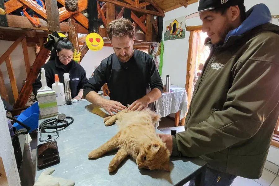 photo_5143228658880720096_y