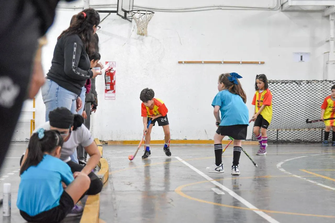 photo_5051184108113342195_y