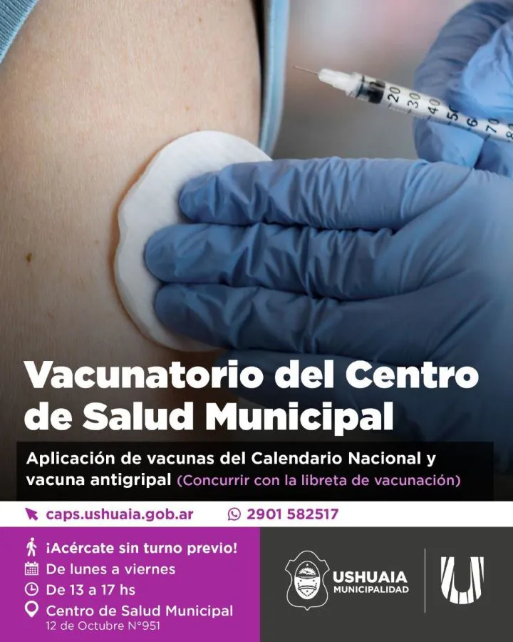 photo_5040025886157549400_y