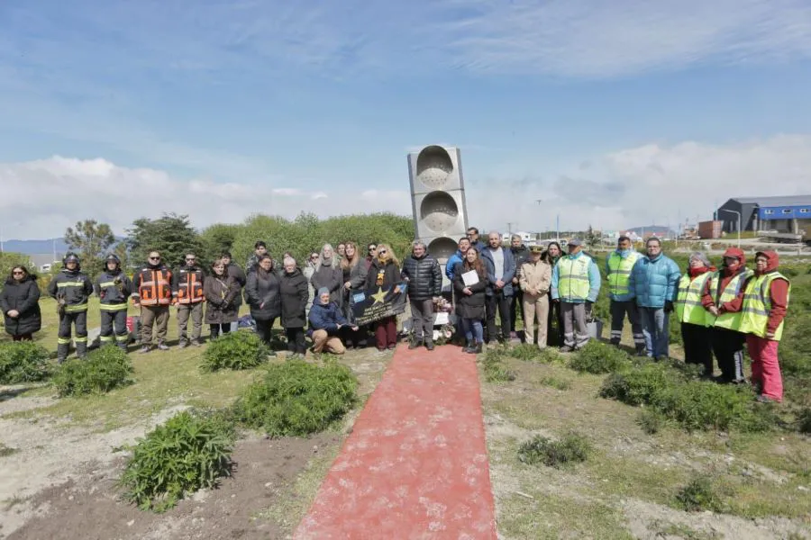 photo_4961011063579151159_y