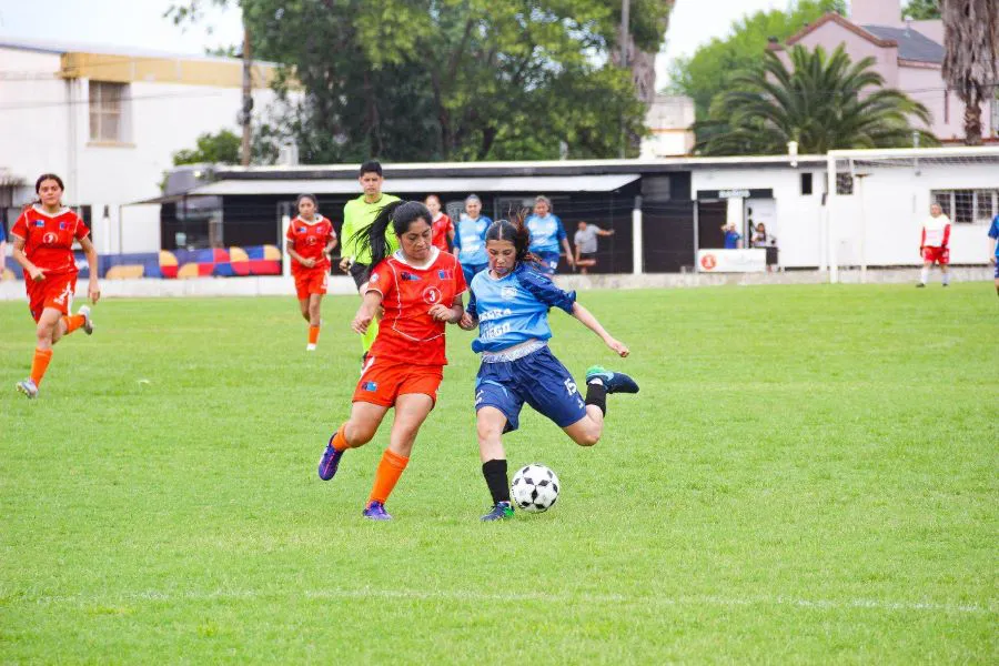 photo_5033082684980267886_y