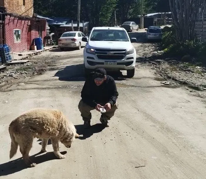 photo_4999105164341873500_y