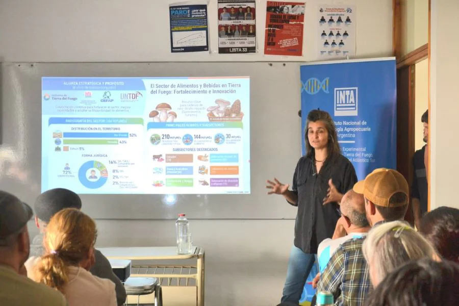 photo_5026117502156606463_y